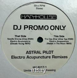 Astral Pilot Electro Acupuncture Remixes Rabbit Moon Trance Techno Electro RARE