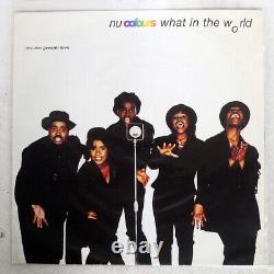 Nu Colours What In The World Wild Card Cardx4 Uk Vinyl 12