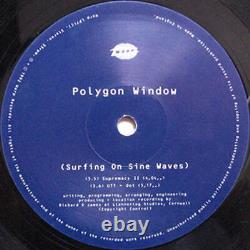Polygon Window Surfing On Sine Waves (2 X LP)