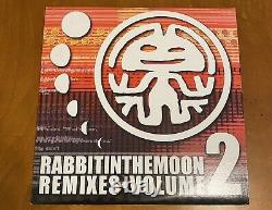 RABBIT IN THE MOON-Volume 2-Remixes-VINYL-3 Record set-MONK-TAMPA 90s RAVE