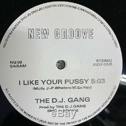 The D. J. Gang 12 I Like Your Pussy DEEP HOUSE New Groove 06 IMPORT EARLY TECHNO