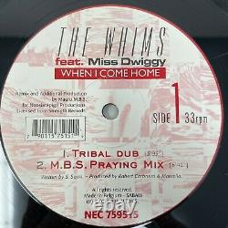 The Whims When I Come Home Vinyl Record Belgian Trance Rare Techno Miss Dwiggy